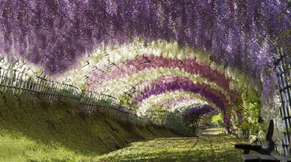 Mesta na Zemlji sa vanzemaljskim izgledom Tunel-glicinija