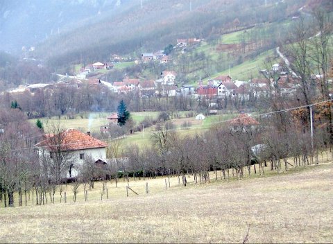 Pastir stoji u BiH, stoku napasa u Srbiji, a naveče životinjama nudi