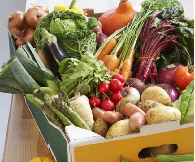 Rotkva čisti organizam Rotkva čisti organizam