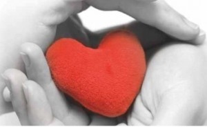 Srce