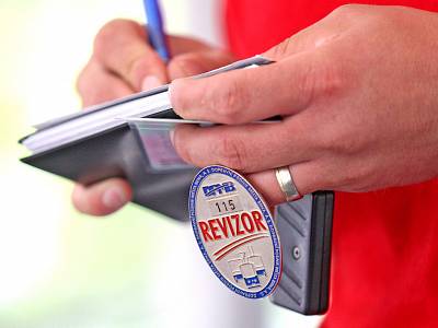 revizor