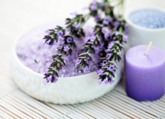 Lavanda