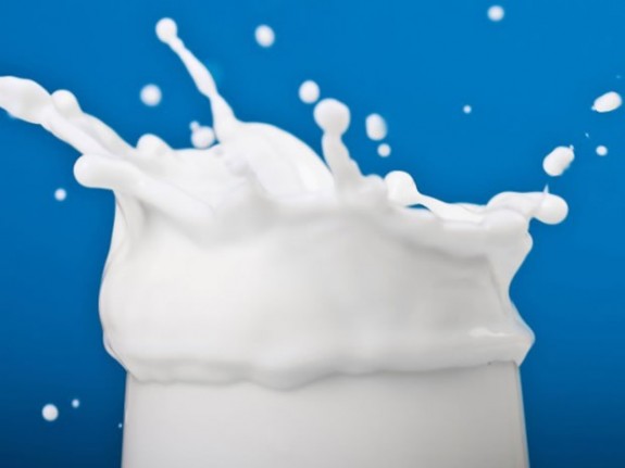 jogurt