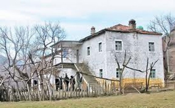 zuta kuca