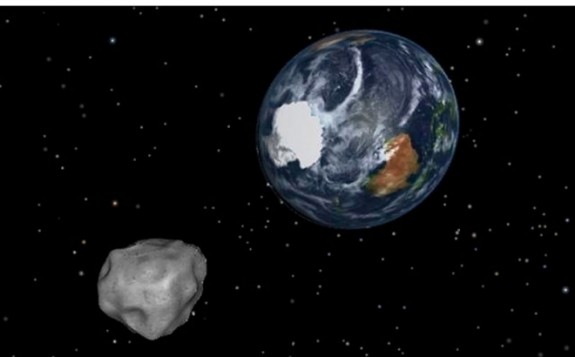 asterodid