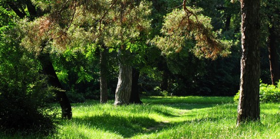 park