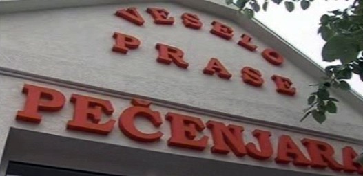 veselo prase