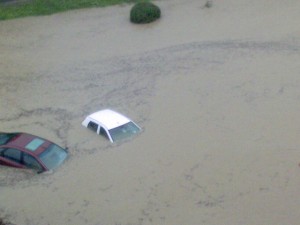 poplave