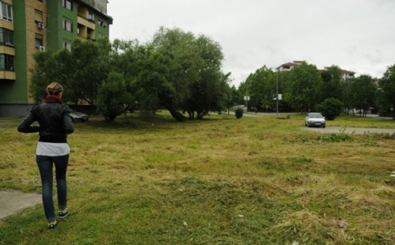 starcevica