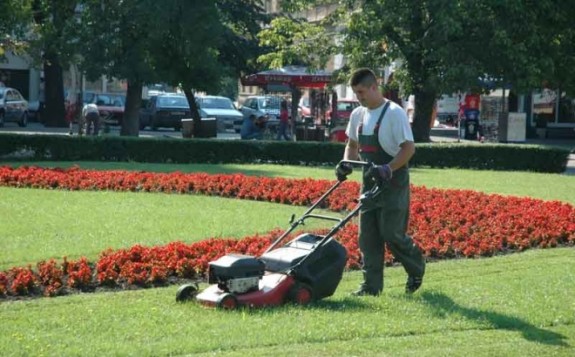 ambrozija