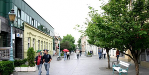 dubica