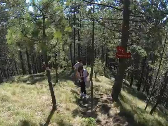 Tajan-video