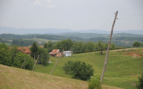 saracica