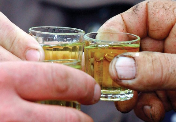 eko-rakija