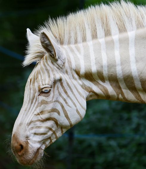 1379084350ky_6977899_f1024