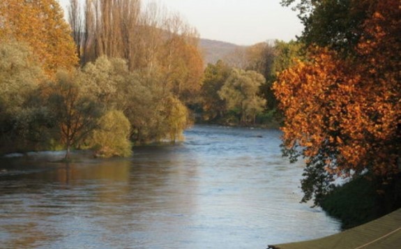 vrbas