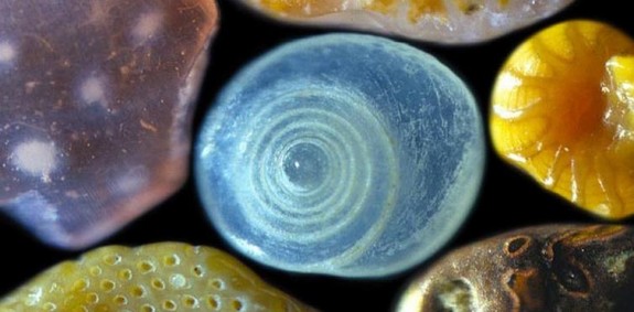 Pijesak pod mikroskopom