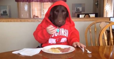 435060_pas-foto-youtube-earl-francis_ff