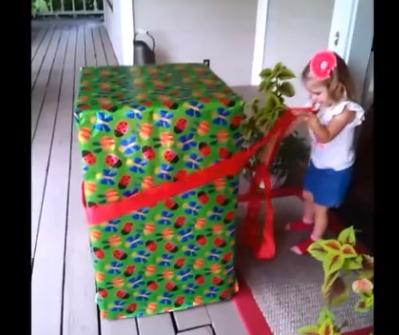 gift