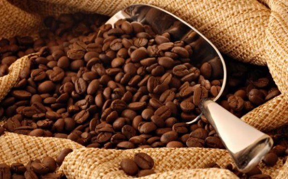 kafa
