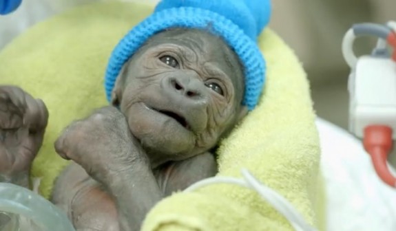 10473470355323534d78d10808871499_orig