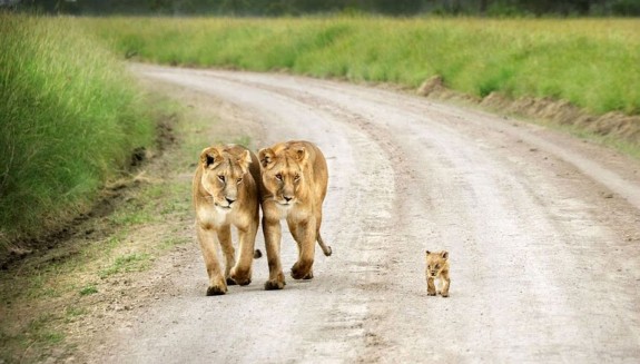 Najbolje fotografije