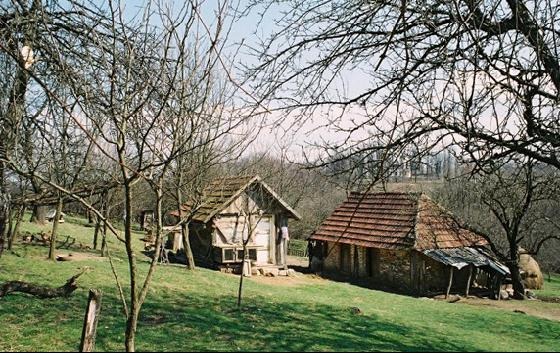 bistrica