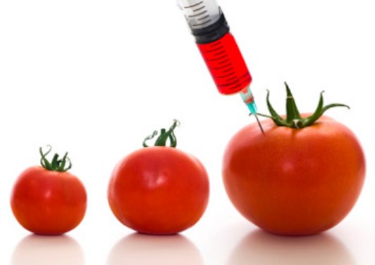 gmo