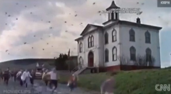 birds