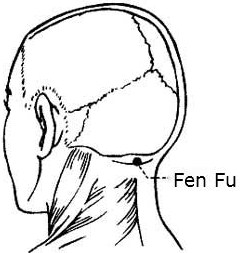 fen fu 2