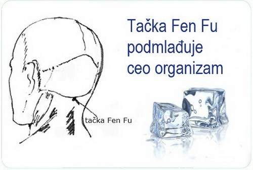 fen fu