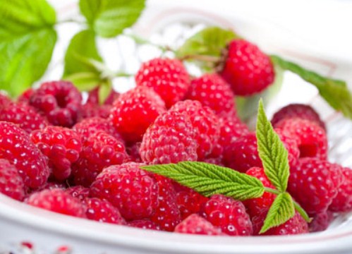maline
