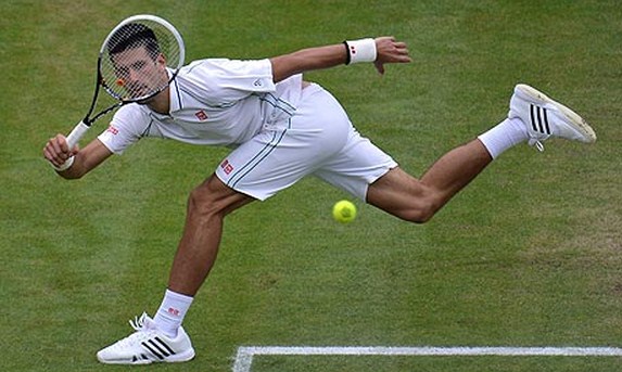 novak