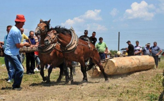 slikacitava