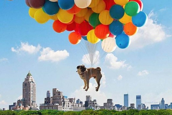 Robert-Jahns-fotografije-1