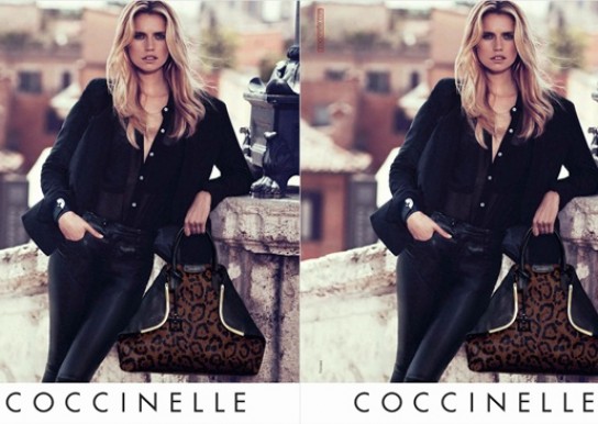 coccinelle