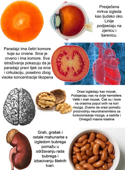 biljka1