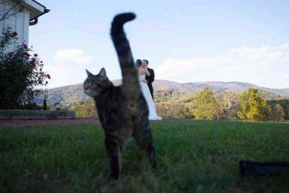 fotobombe-koje-ce-vas-nasmijati-1