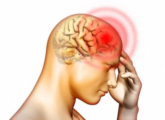 brain