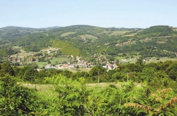 krmine