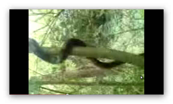 Ashampoo_Snap_2014.11.01_18h54m58s_001_