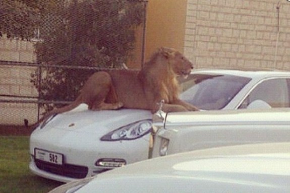 Only in Dubai