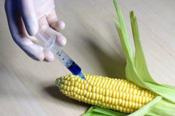 20150113152501_283344