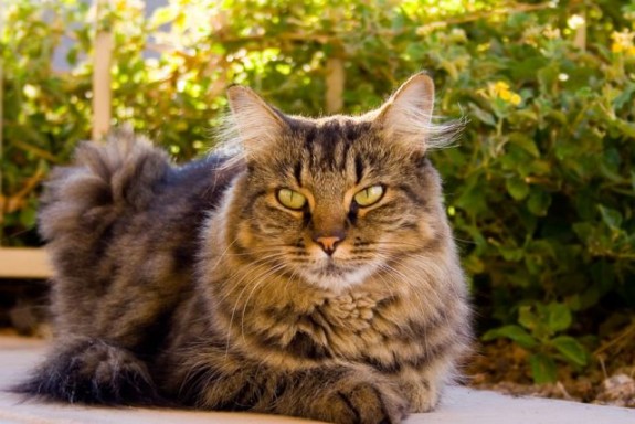 20150202173959_286832