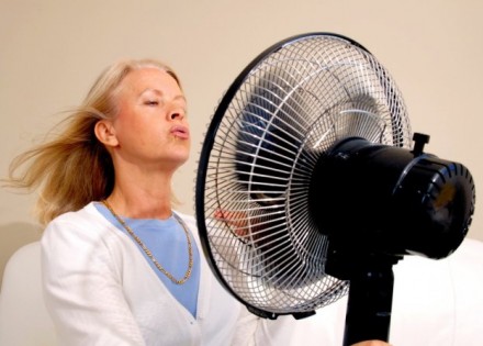 ventilator