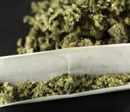 marihuana