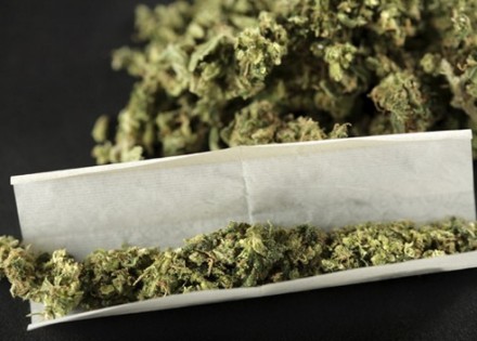 marihuana