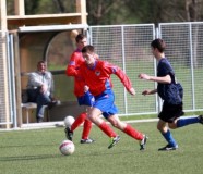 borac