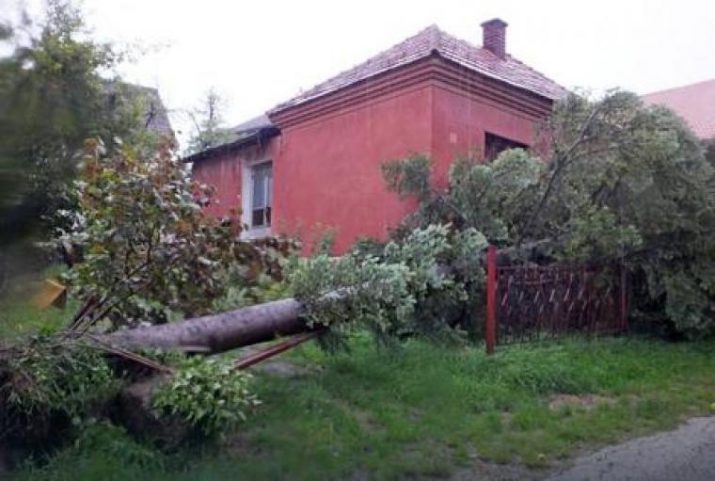 pljusak_u_kosjericu2