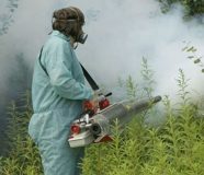 zaprašivanje komaraca